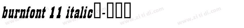 burnfont 11 italic激字体转换